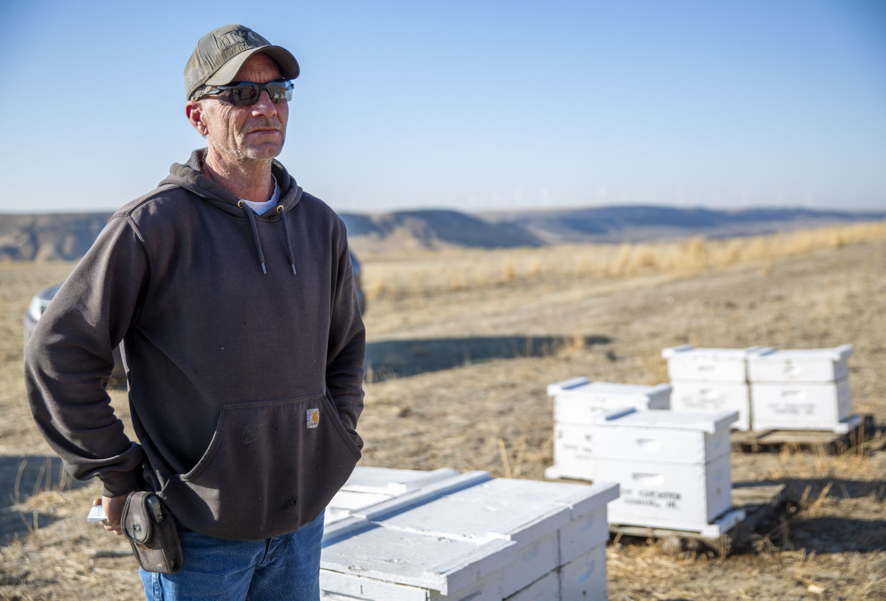 The death of bees